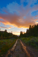 Landscapes